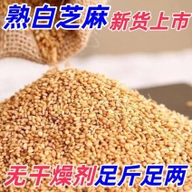 《白熟芝麻》安徽基地直发保质保量对接商超团购一条龙服务