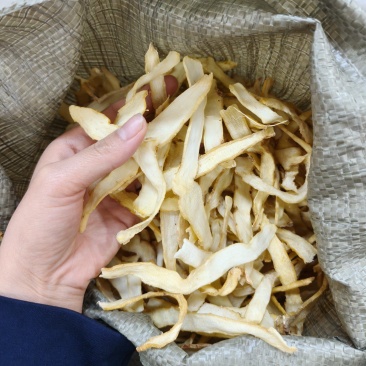 精选玉竹当季干货滋补玉竹特级秋冬养生大片量大从优