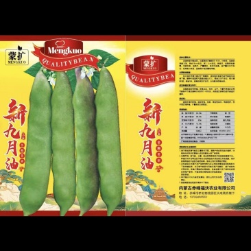 新九月油豆角种子