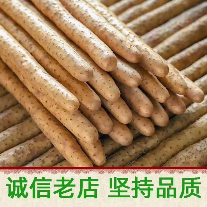 河南内黄双棒山药/当季头茬山药/大量现货/