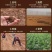 河南内黄双棒山药/当季头茬山药/大量现货/