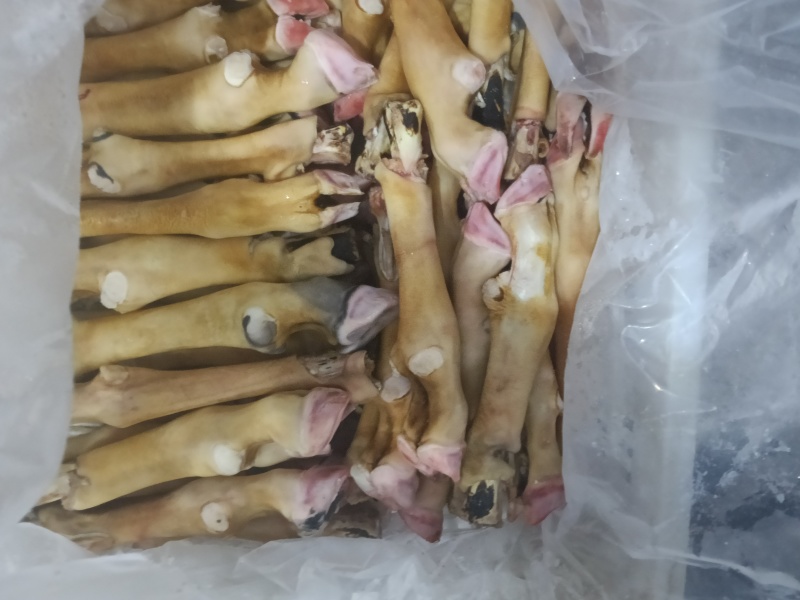 清真育肥羊蹄手工火烧去毛肉质紧实正宗好食材不抽筋