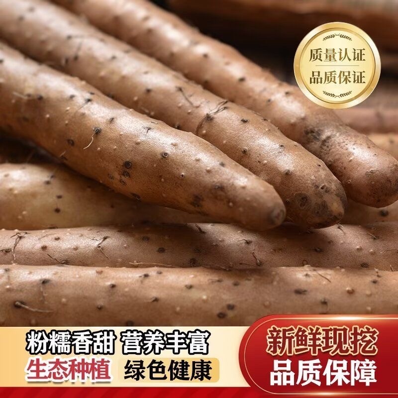 河南内黄双棒山药/当季头茬山药/大量现货/