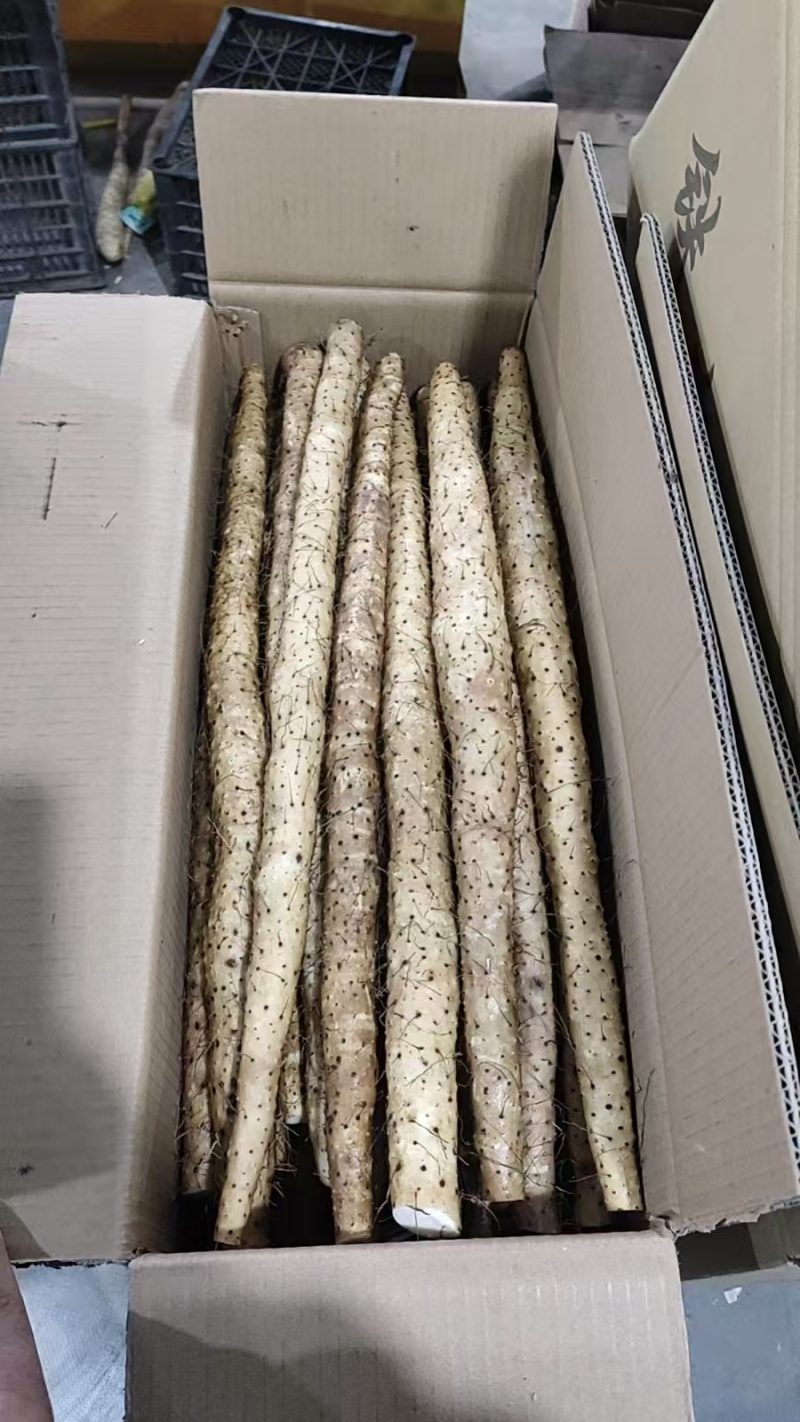 箱装铁杆山药水洗蠡县山药精品水洗山药自己的加工厂