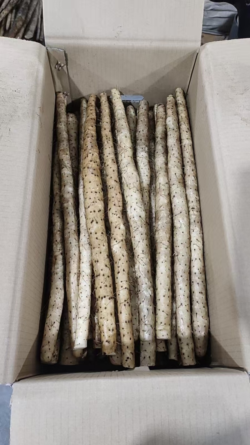 箱装铁杆山药水洗蠡县山药精品水洗山药自己的加工厂