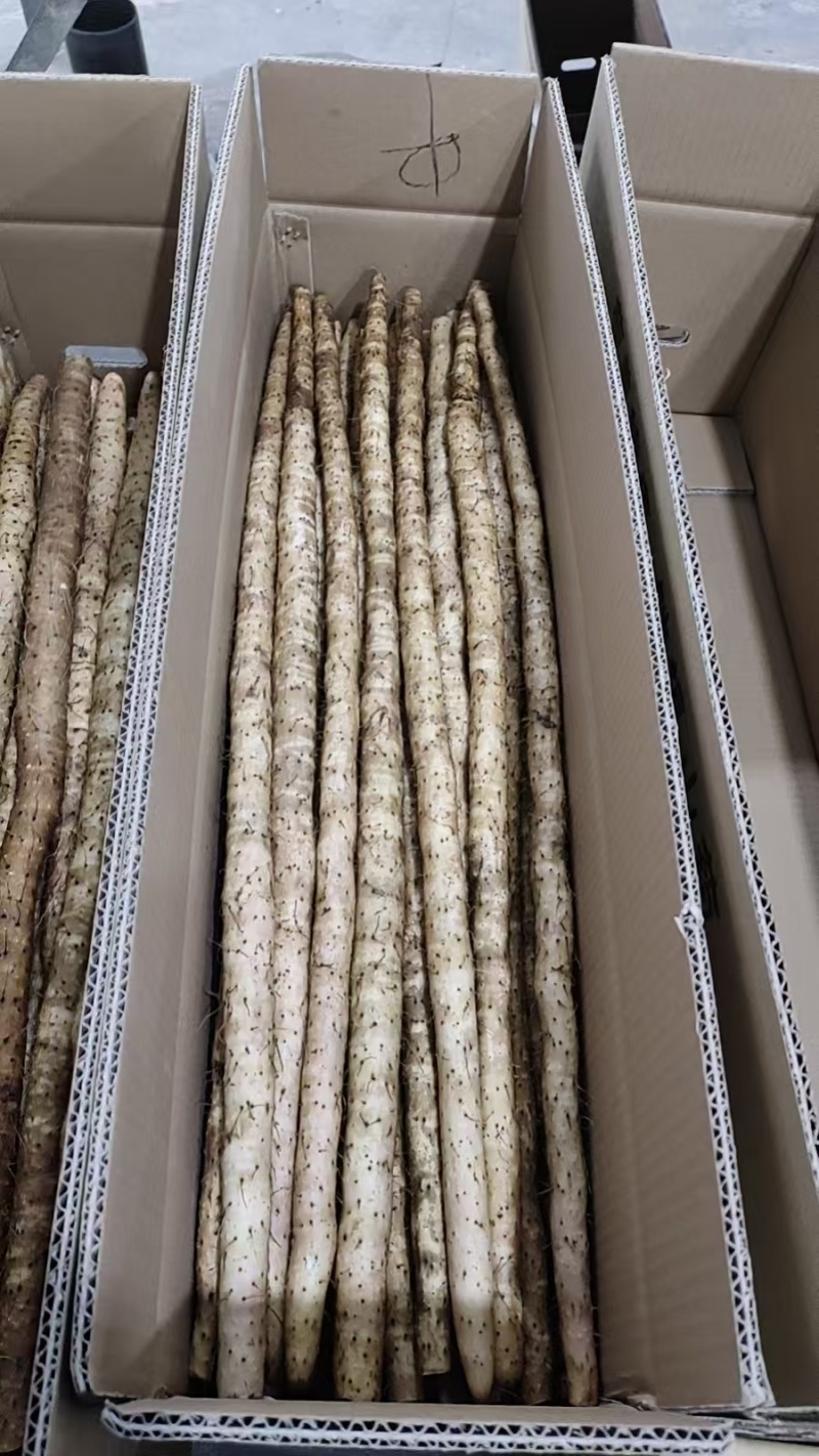 箱装铁杆山药水洗蠡县山药精品水洗山药自己的加工厂