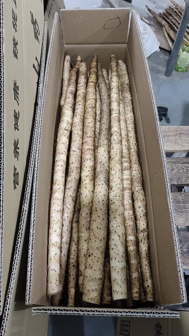 箱装铁杆山药水洗蠡县山药精品水洗山药自己的加工厂