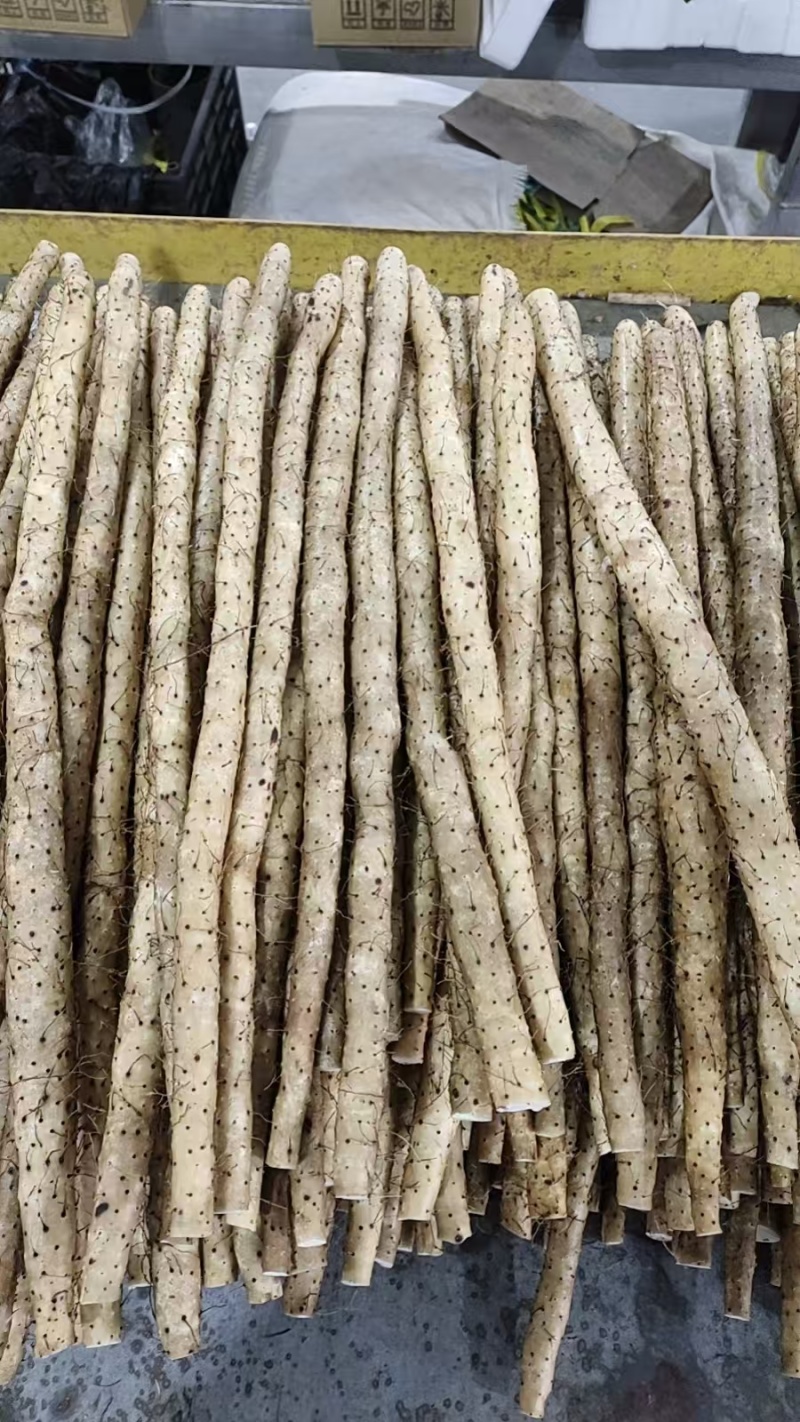 箱装铁杆山药水洗蠡县山药精品水洗山药自己的加工厂