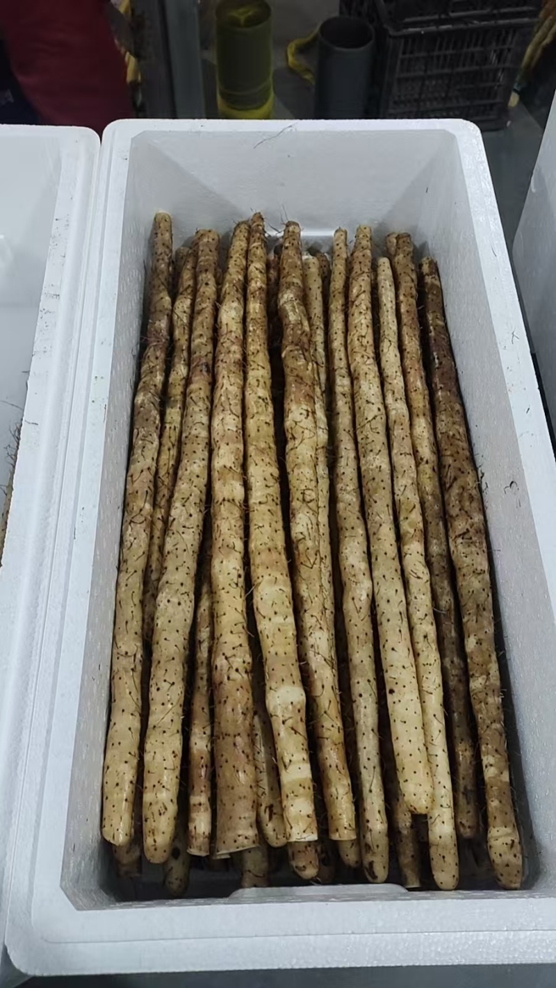 箱装铁杆山药水洗蠡县山药精品水洗山药自己的加工厂