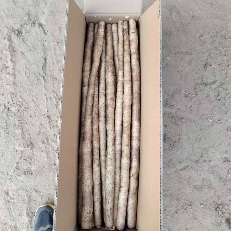 箱装铁杆山药水洗蠡县山药精品水洗山药自己的加工厂