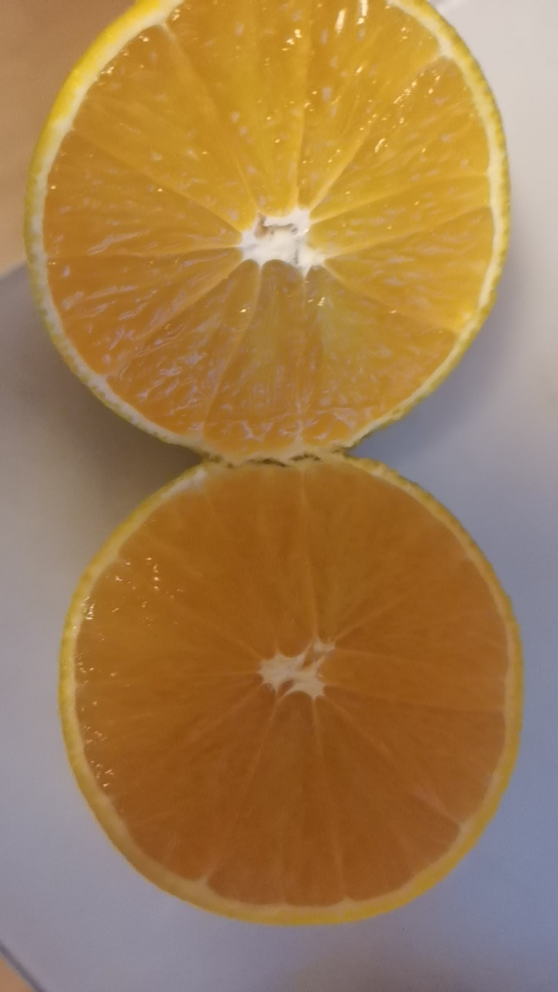 爱媛果冻橙