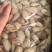 澳洲带壳巴旦木《新货现做》商超货，电商货大量供应