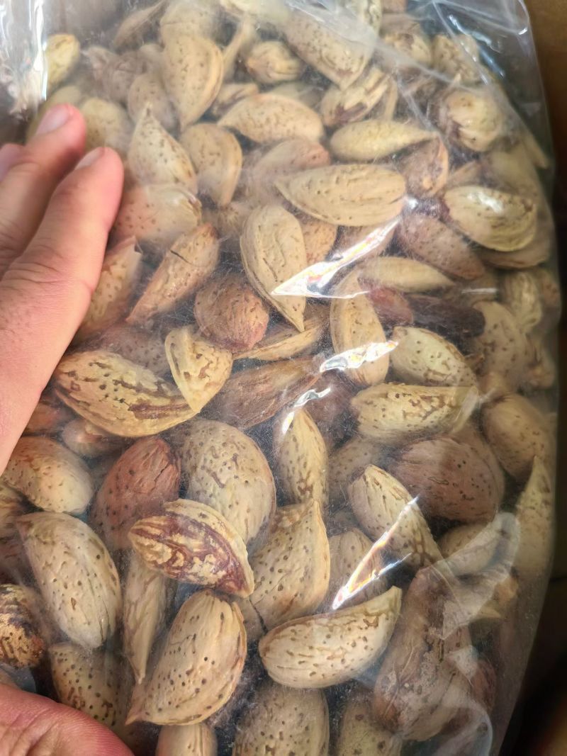澳洲带壳巴旦木《新货现做》商超货，电商货大量供应