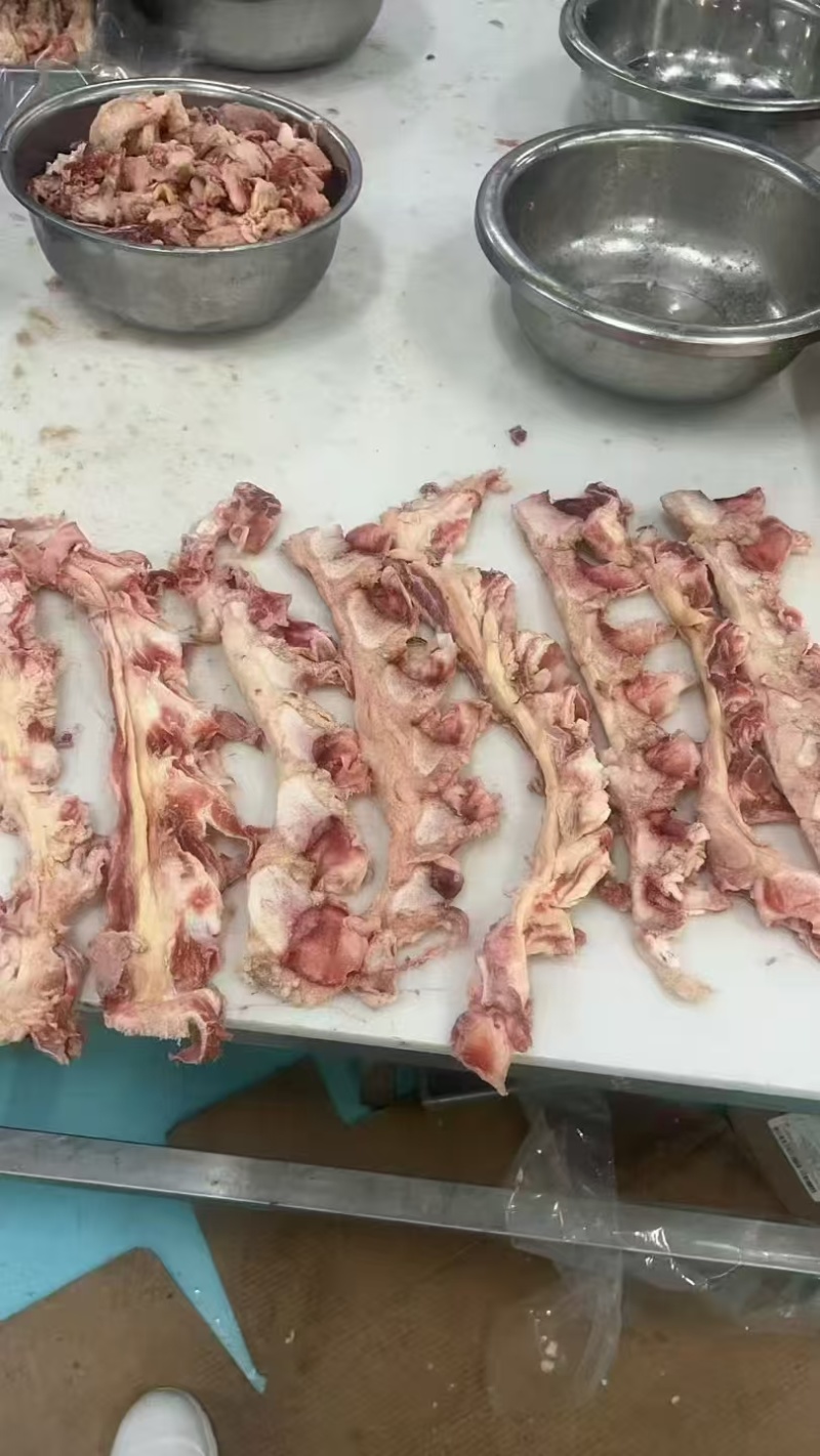 带肉霸王鞭厂家直销品质保证大量现货批发零售欢迎来电