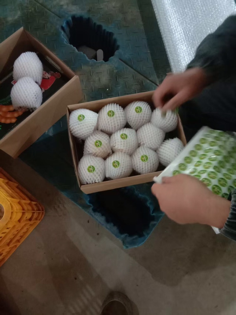 云南石林人参果种植基地
