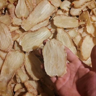 天麻干片