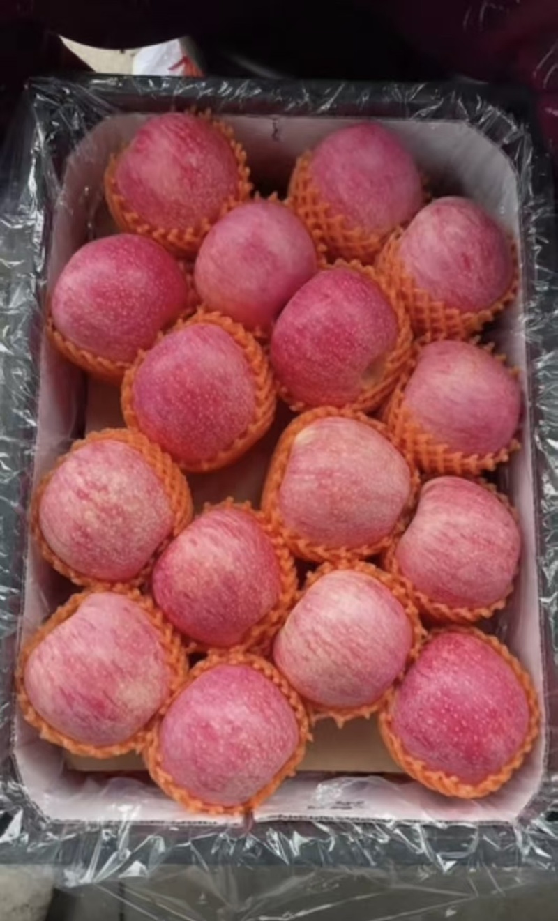 秦冠大量有货，需要联系