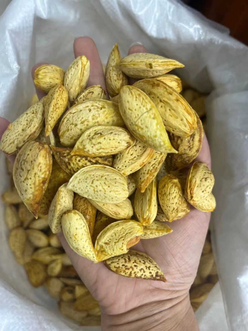 澳洲带壳巴旦木《新货现做》商超货，电商货大量供应