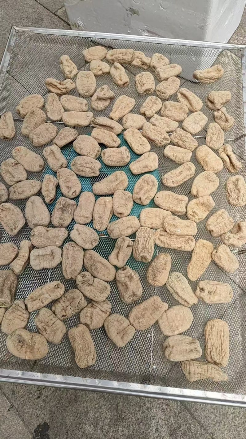 小草坝乌天麻产地麻农自产自销一手货源质量保障无硫