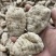 小草坝乌天麻产地麻农自产自销一手货源质量保障无硫