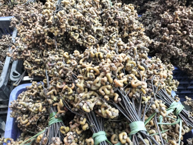 拐枣，万寿果，鸡爪梨
