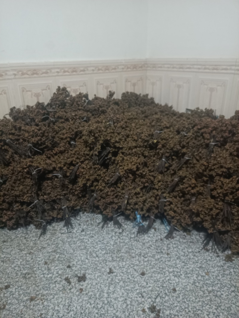 拐枣，万寿果，鸡爪梨