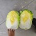 黄心大白菜，玲珑黄大白菜