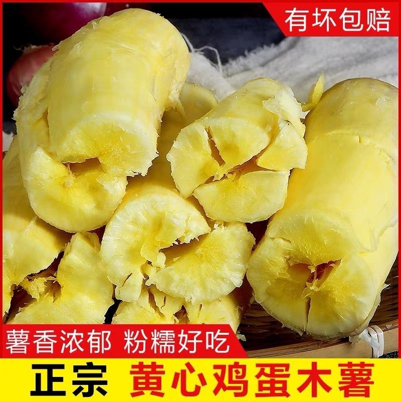 华南九号木薯