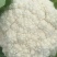 花菜