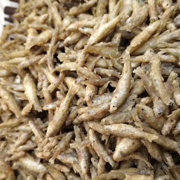 油炸麦穗鱼，工厂直发，可溯源对接团购，电商，批发市场