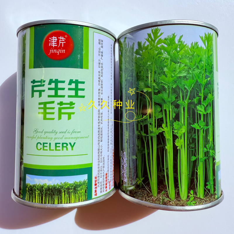 芹生生毛芹种子籽春播芹菜种孑纤维少不空心农家四季蔬菜