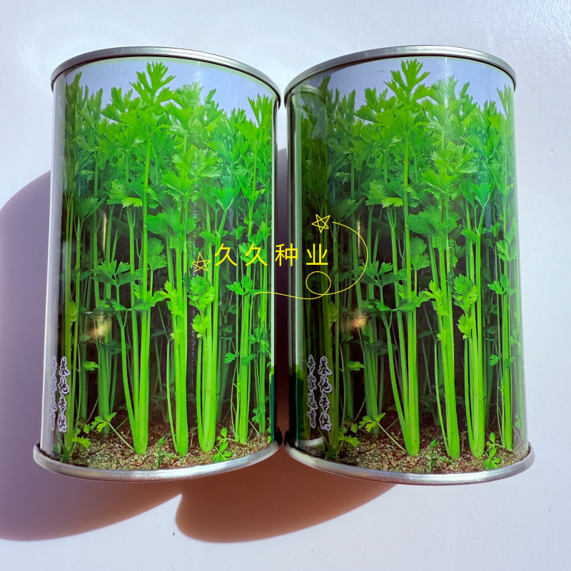 芹生生毛芹种子籽春播芹菜种孑纤维少不空心农家四季蔬菜