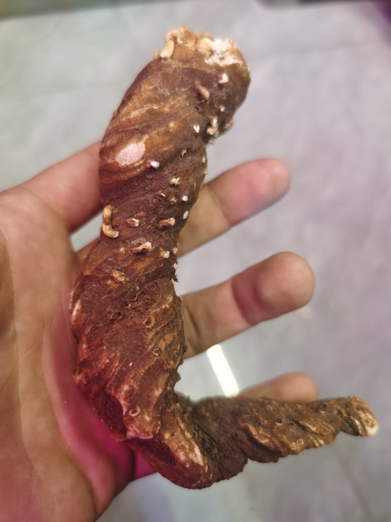 正规货源重楼随时有货规格齐全新鲜送达，欢迎咨询