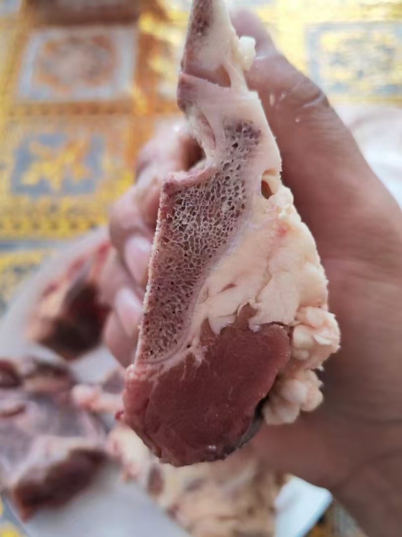 牛脊骨切块厂家直销品质保证大量现货批发零售
