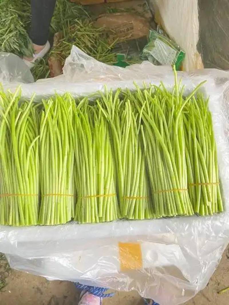 新鲜芦篙直供，口感鲜嫩，健康**！