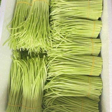 新鲜芦篙直供，口感鲜嫩，健康**！