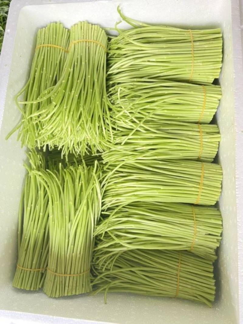 新鲜芦篙直供，口感鲜嫩，健康**！