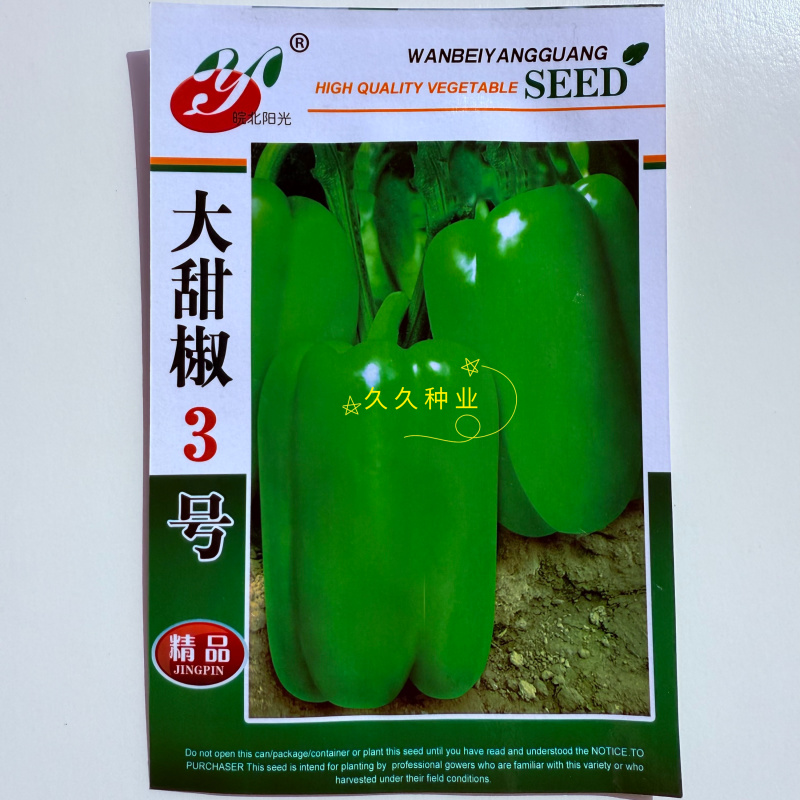 大甜椒3号早熟辣椒种子光滑硬度好抗病毒能力好适应性强