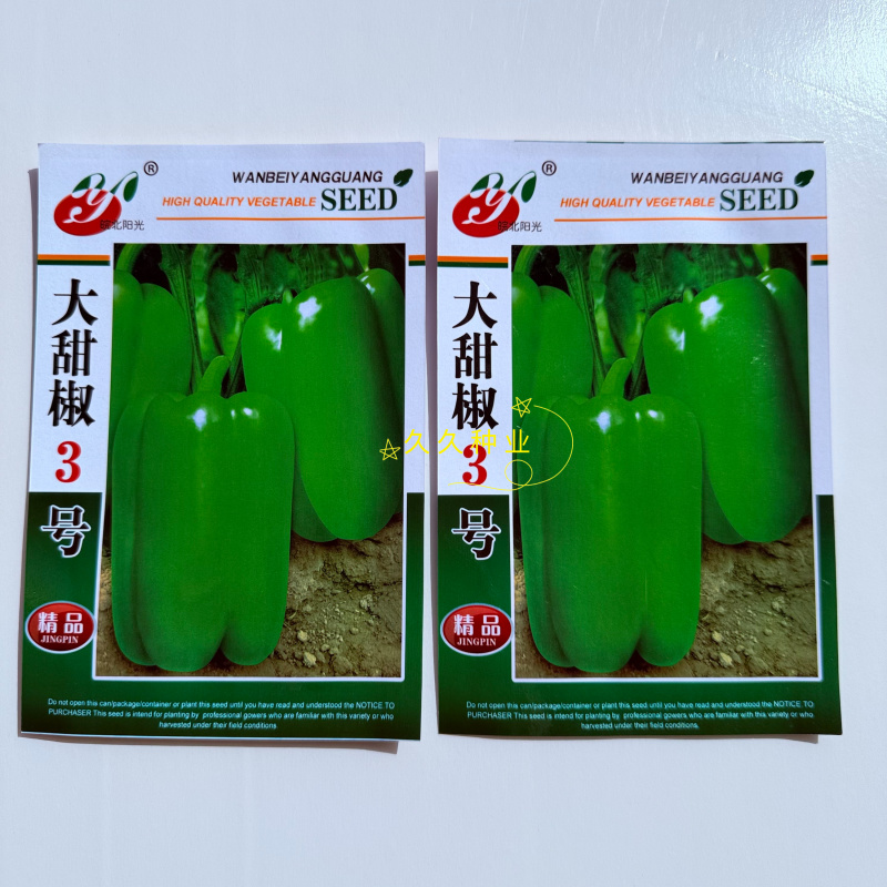 大甜椒3号早熟辣椒种子光滑硬度好抗病毒能力好适应性强