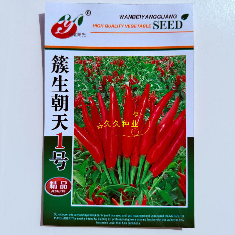 簇生朝天1号中晚熟朝天椒种子分枝能力强坐果率高适应性广