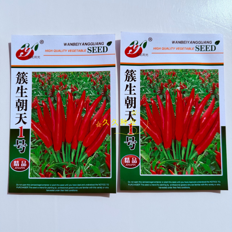 簇生朝天1号中晚熟朝天椒种子分枝能力强坐果率高适应性广