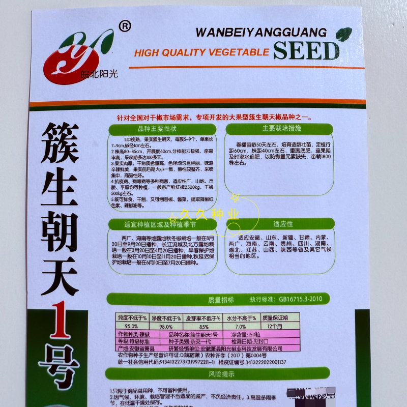 簇生朝天1号中晚熟朝天椒种子分枝能力强坐果率高适应性广