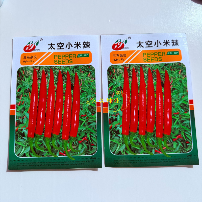 太空小米辣三系杂交中熟单生朝天辣椒种子优质高产干鲜两用