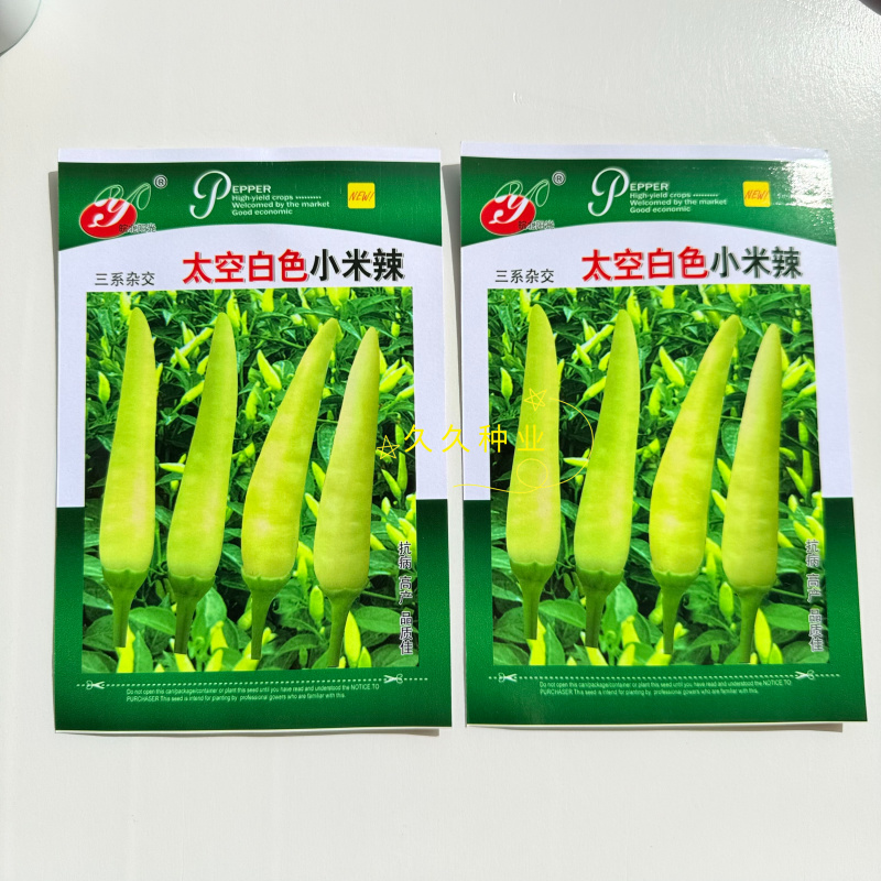 太空白色小米辣三系杂交中熟单生朝天椒种子熟果艳红香辣味