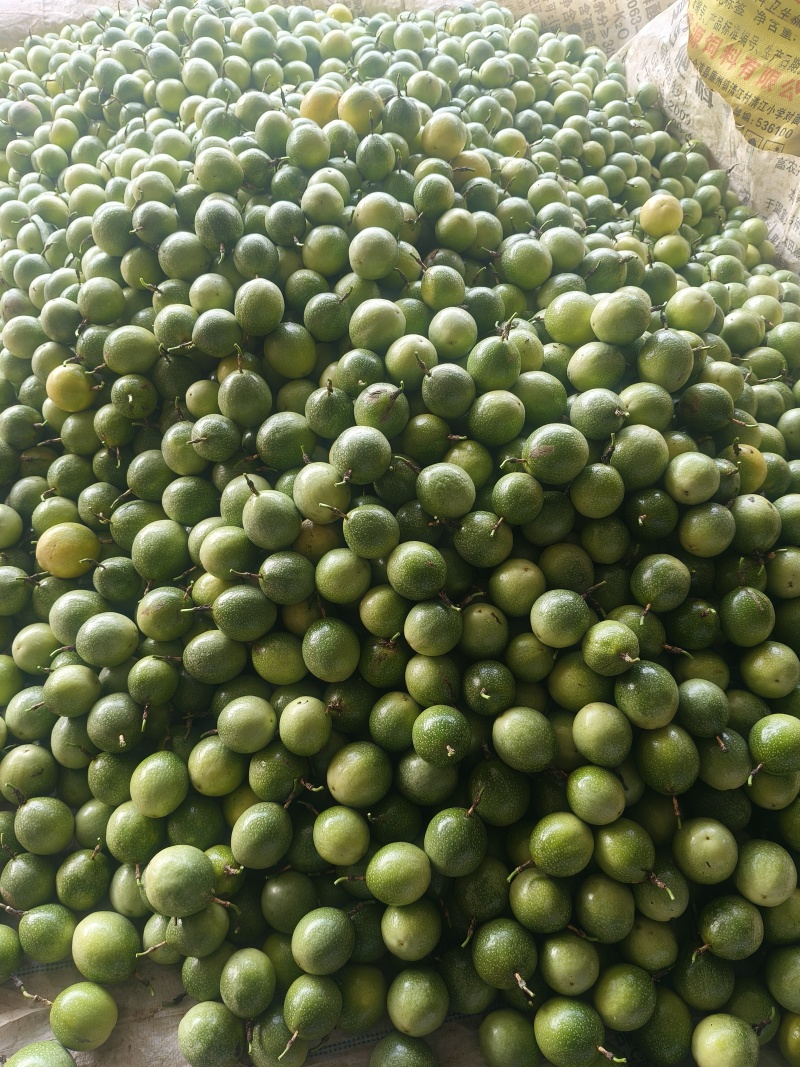 黄金百香果