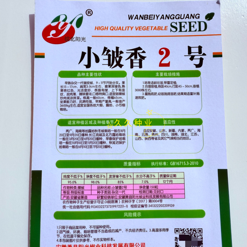 小皱香2号早熟杂交一代皱皮椒原装辣椒种子光洁度好辣味香