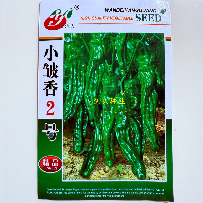小皱香2号早熟杂交一代皱皮椒原装辣椒种子光洁度好辣味香