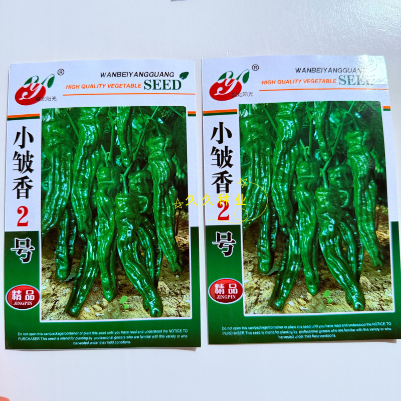 小皱香2号早熟杂交一代皱皮椒原装辣椒种子光洁度好辣味香