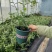 大钵11/F6继续出发，当年栽当年结果