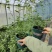 大钵11/F6继续出发，当年栽当年结果